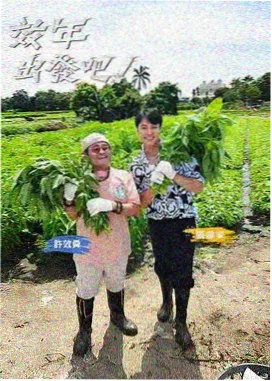 小姐姐综艺慢生活实验室画面